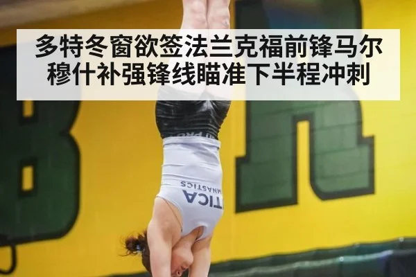 多特冬窗欲签法兰克福前锋马尔穆什补强锋线瞄准下半程冲刺