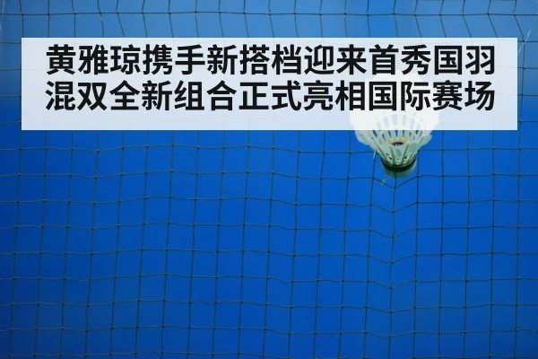 badminton training court